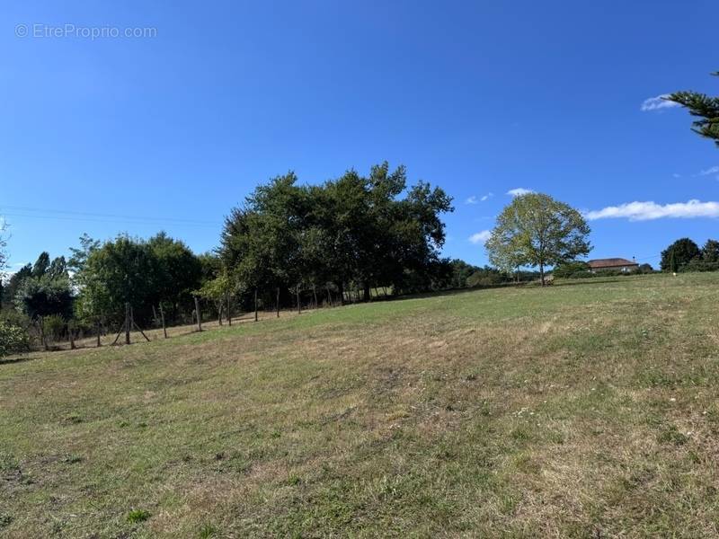 Terrain à BON-ENCONTRE