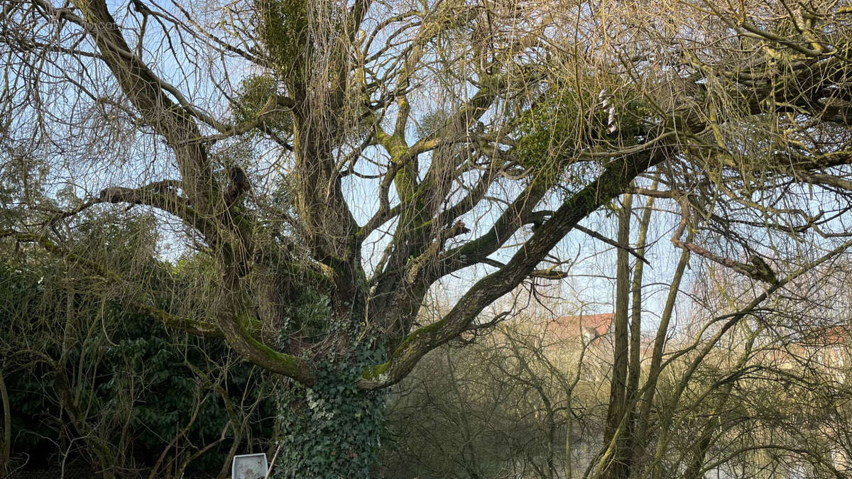 Terrain à COURVILLE-SUR-EURE