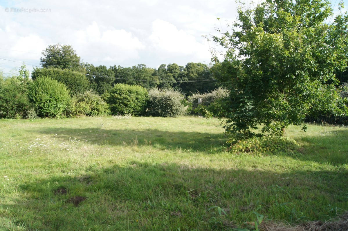 Terrain à BOBITAL