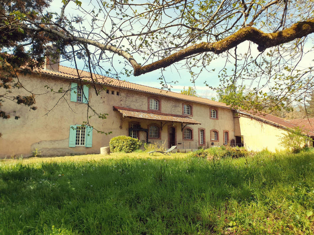 à vendre ancien moulin très isolé sur 7 hectares - Maison à RISCLE