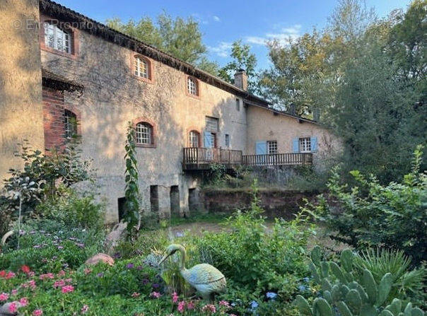 à vendre ancien moulin très isolé sur 7 hectares - Maison à RISCLE