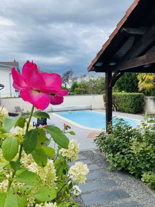 Maison,5 chambres, st vallier, montceau, piscine - Maison à SAINT-VALLIER