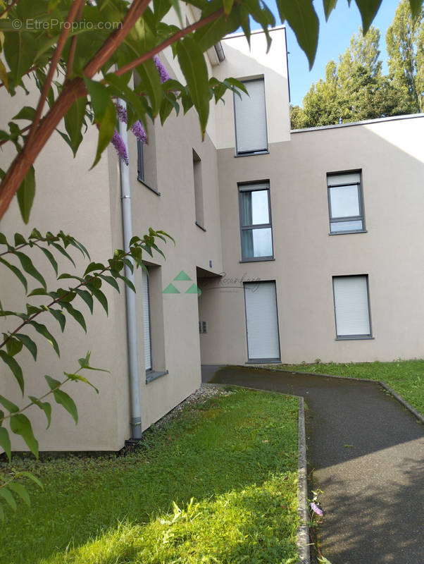 Appartement à HEGENHEIM