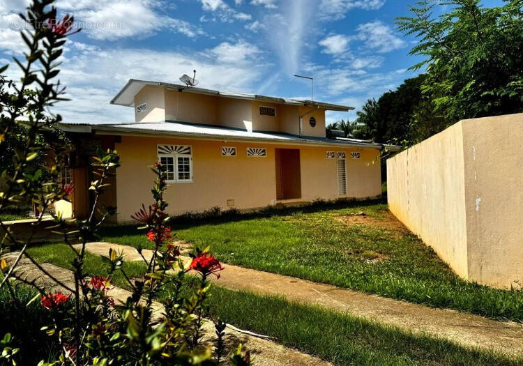 Maison à CAYENNE