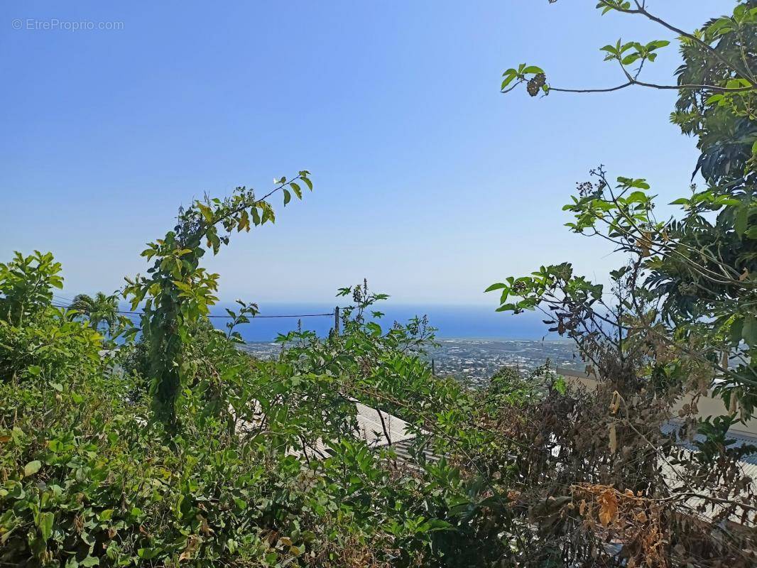 Terrain à SAINT-DENIS