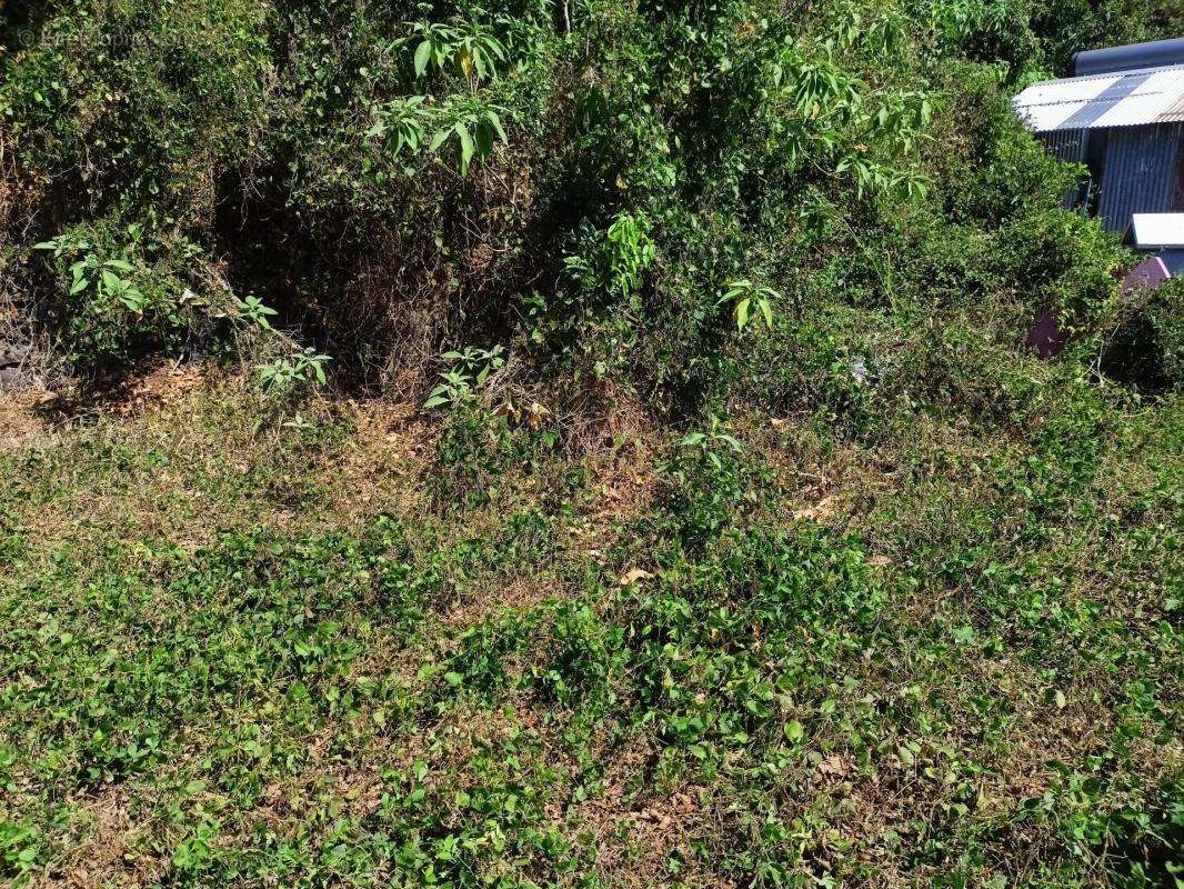 Terrain à SAINT-DENIS