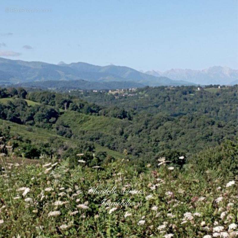 Terrain à TOURNAY