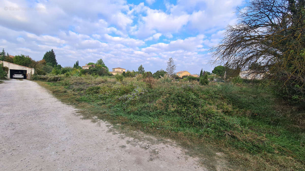 Terrain à BARBENTANE