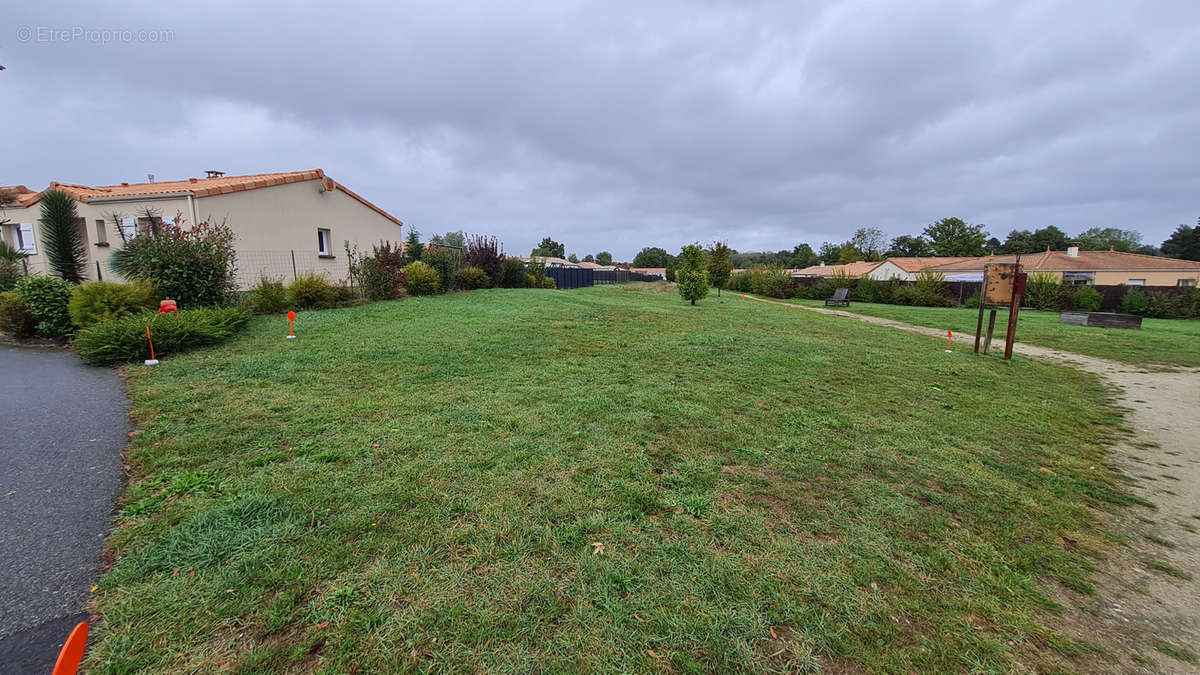 Terrain à LA BOISSIERE-DU-DORE