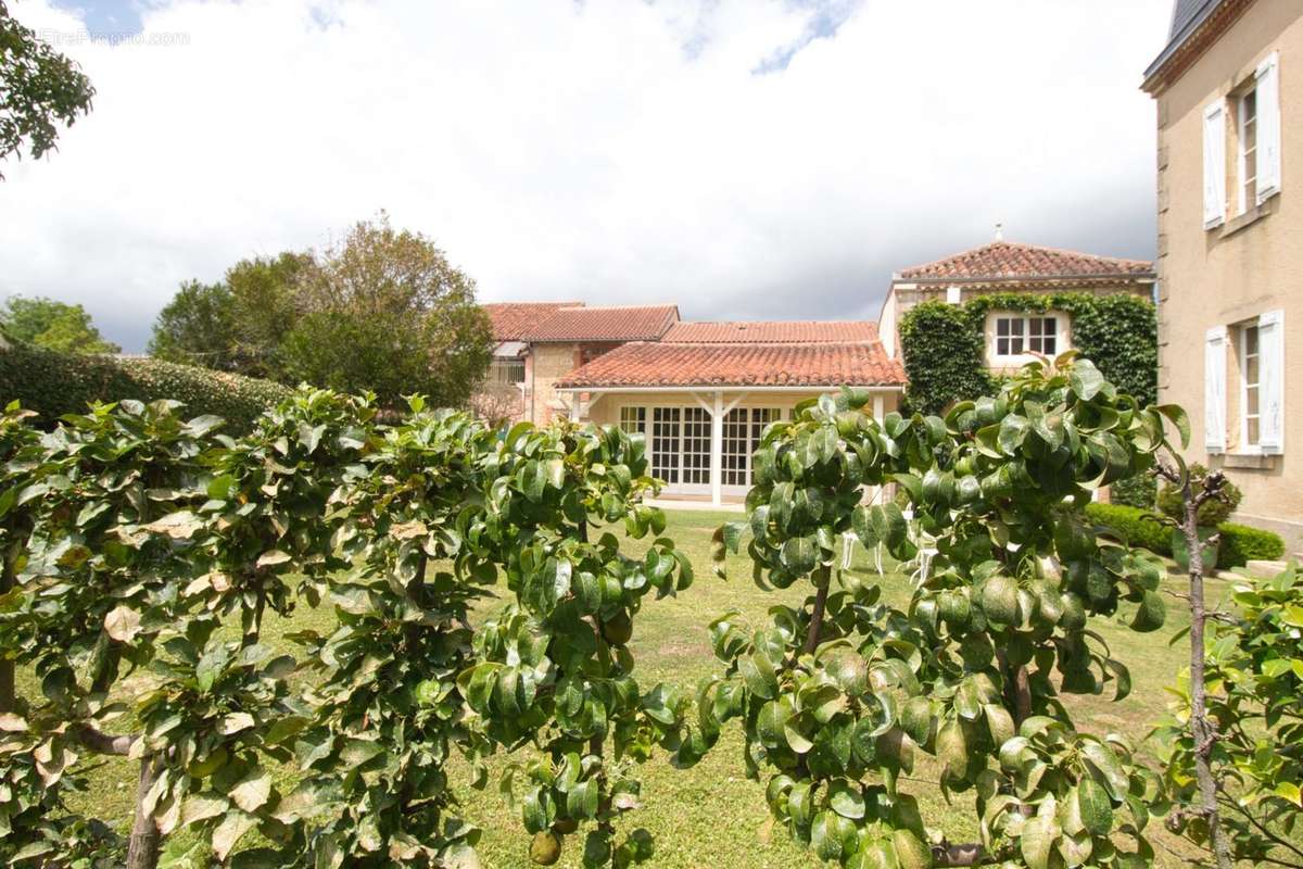 Maison à MARCIAC