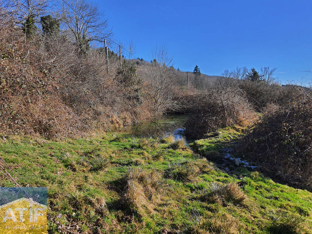 Terrain à CHAMPOLY