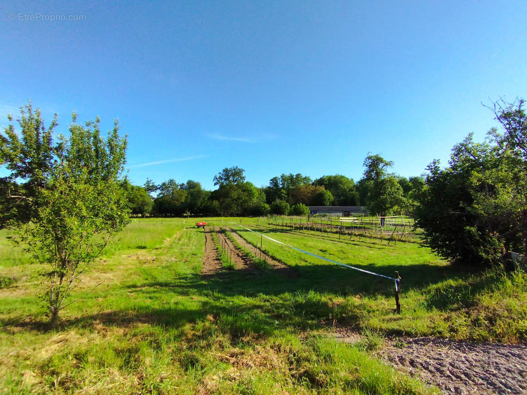 Terrain à AILLEVILLERS-ET-LYAUMONT