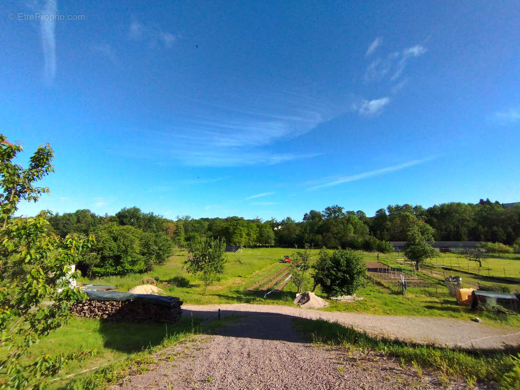 Terrain à AILLEVILLERS-ET-LYAUMONT