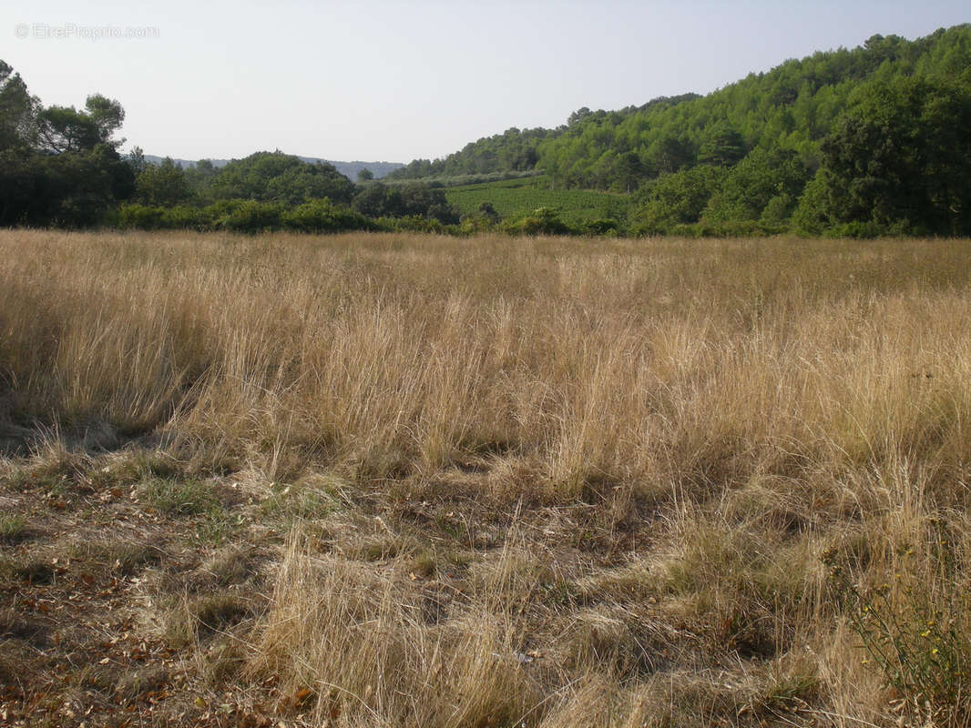 Terrain à SAINT-HIPPOLYTE-DE-CATON