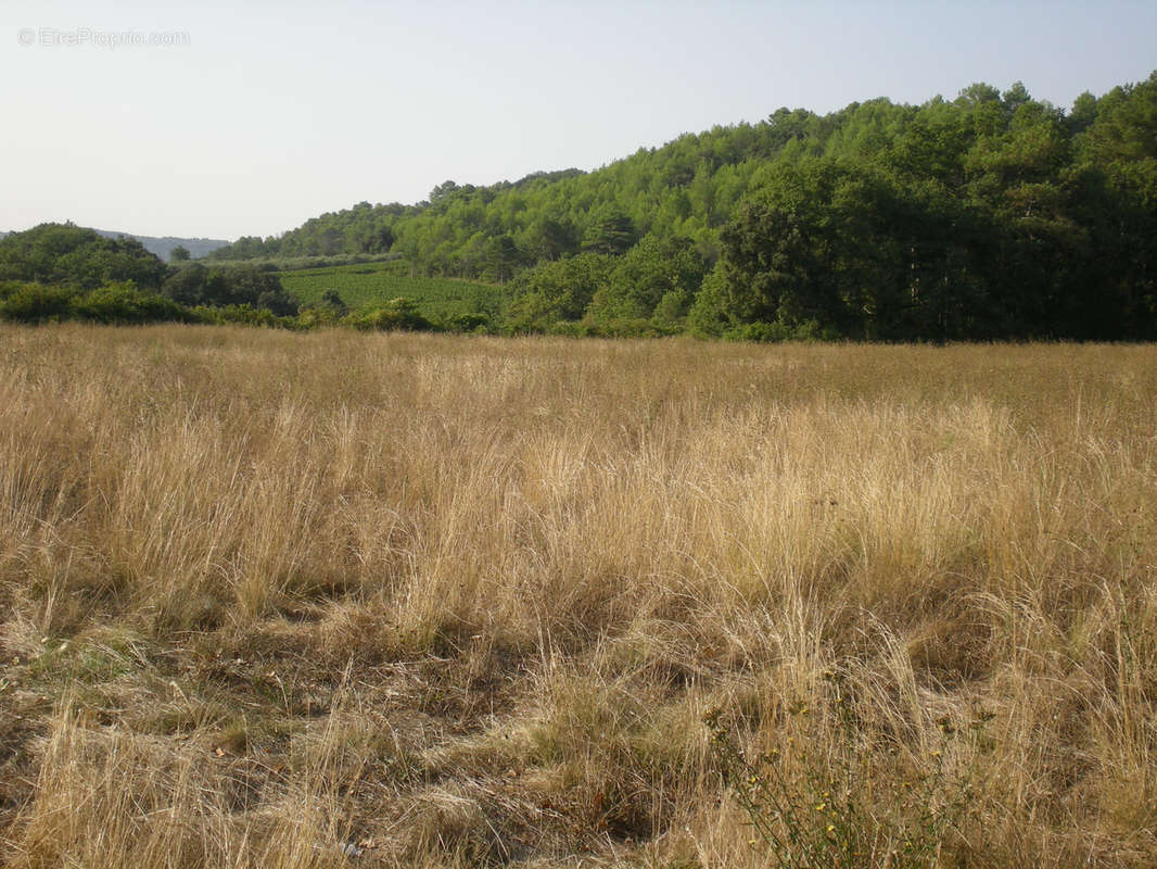 Terrain à SAINT-HIPPOLYTE-DE-CATON