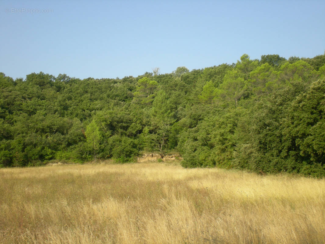 Terrain à SAINT-HIPPOLYTE-DE-CATON