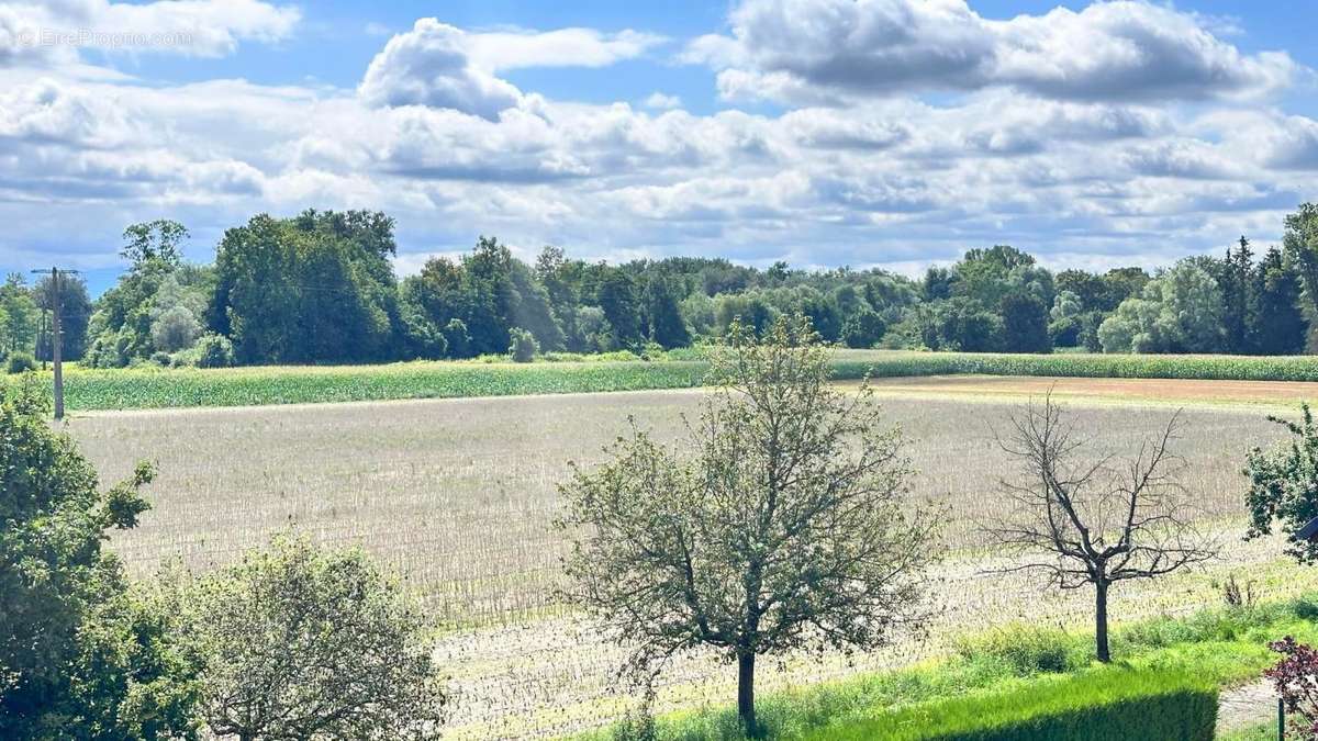 Appartement à OFFENDORF