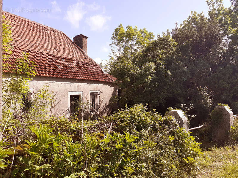 Maison à BACH