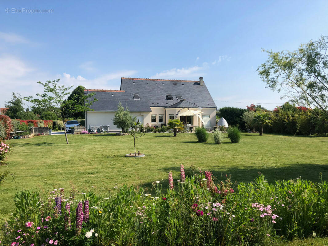 Maison à LA MEMBROLLE-SUR-CHOISILLE