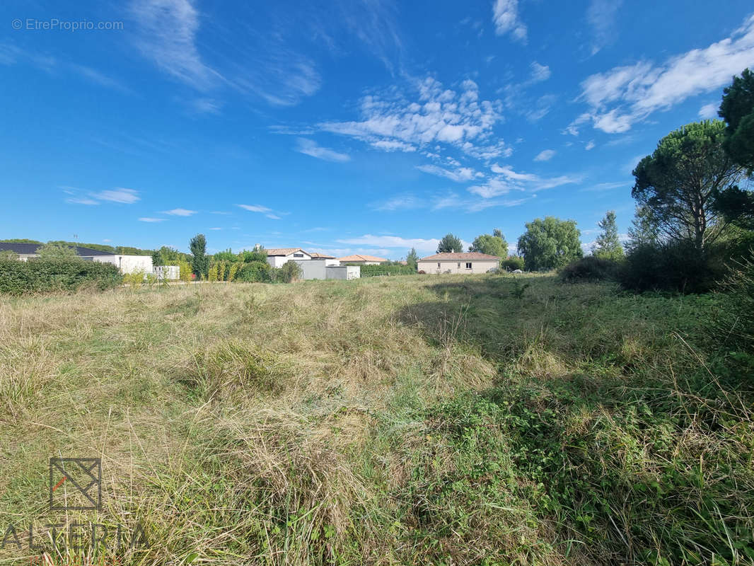 Terrain à PECHABOU