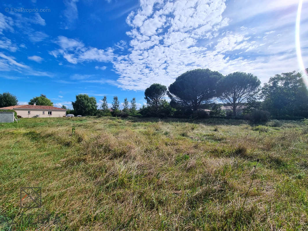 Terrain à PECHABOU