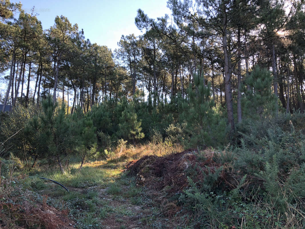 Terrain à CROZON