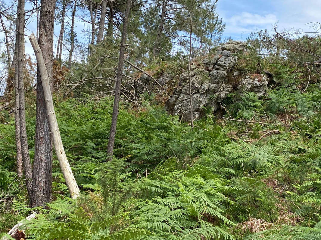 Terrain à CROZON