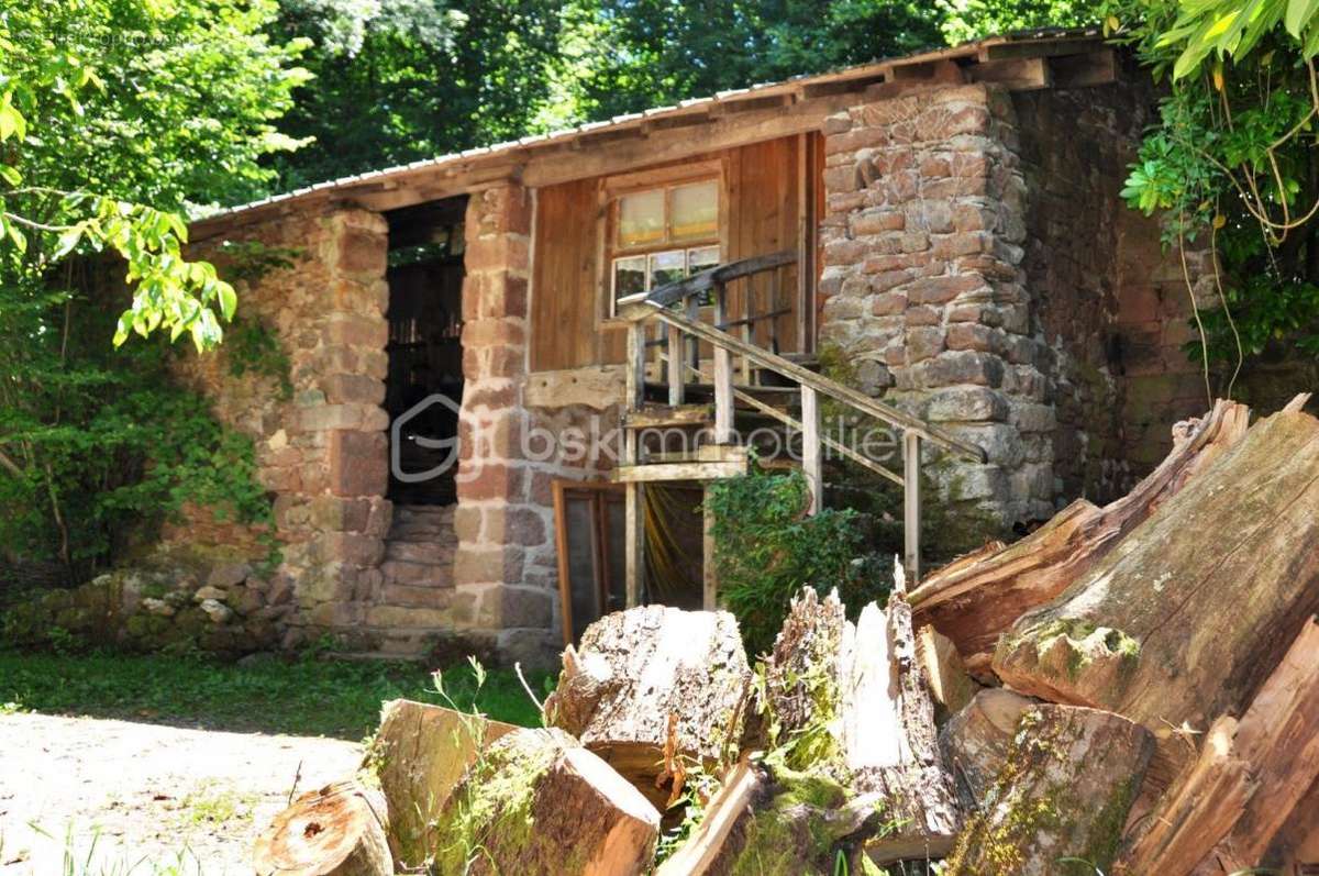 Maison à SAINT-CYPRIEN-SUR-DOURDOU