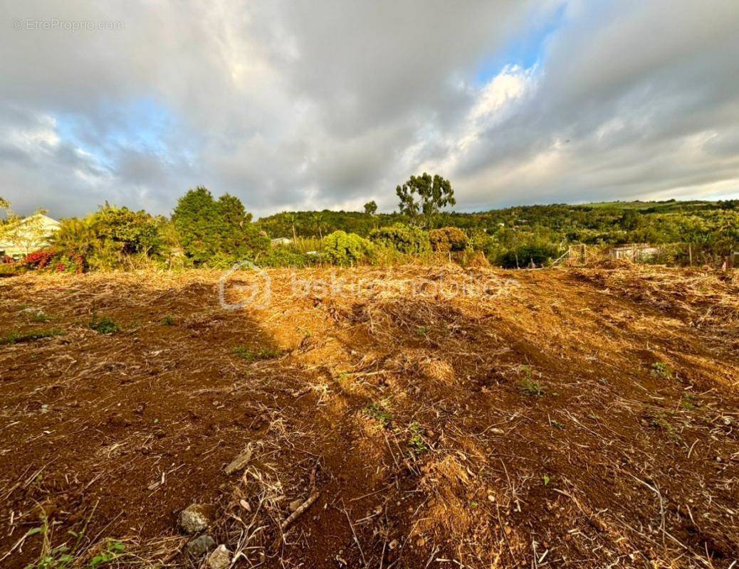 Terrain à SAINT-PAUL