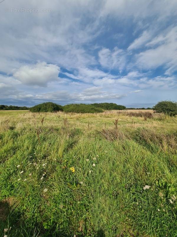 Terrain à CROZON