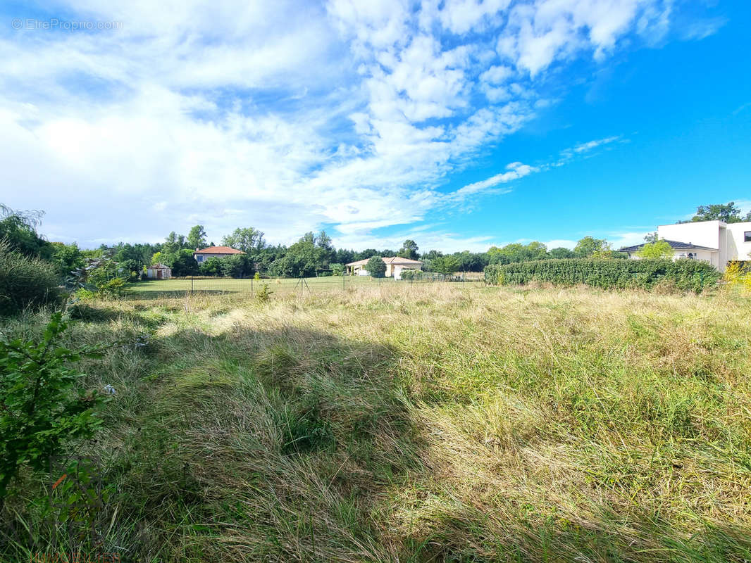 Terrain à PECHABOU