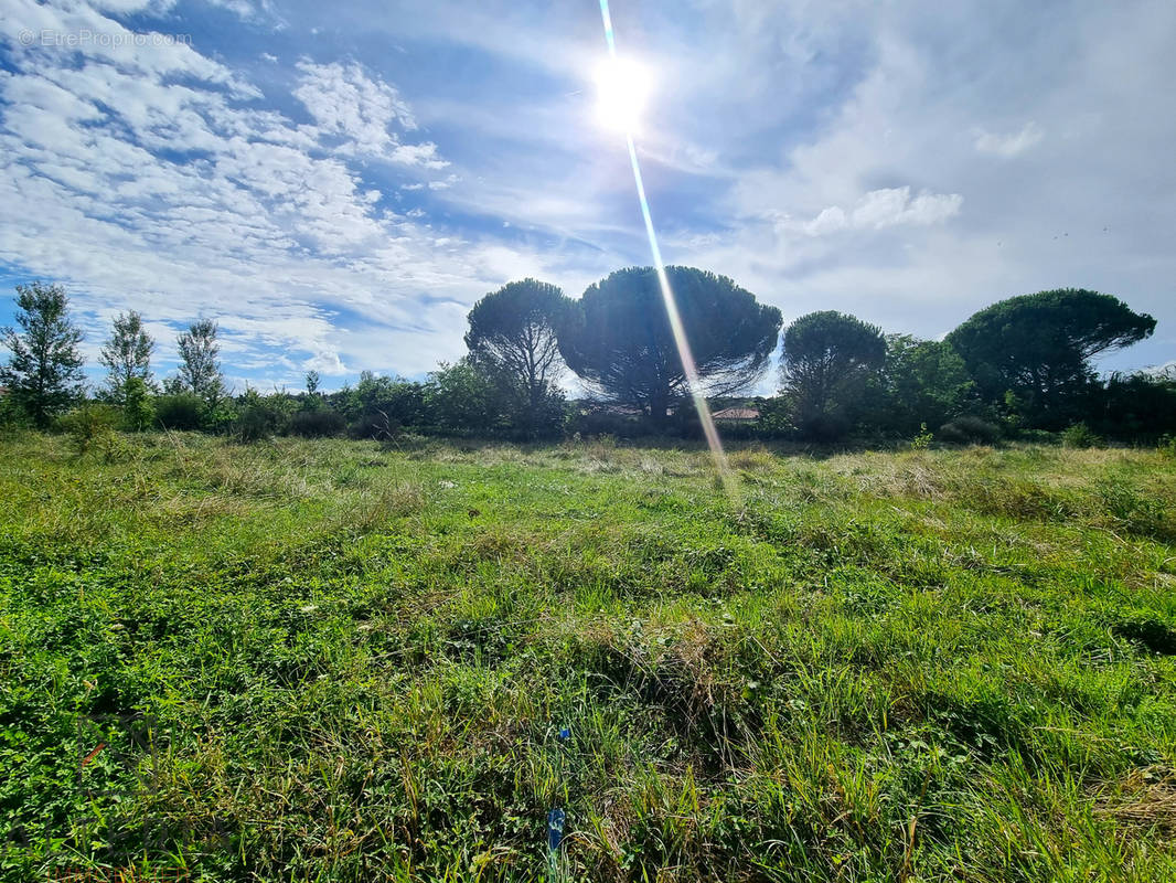 Terrain à PECHABOU