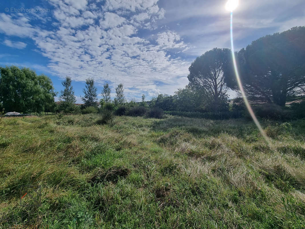 Terrain à PECHABOU