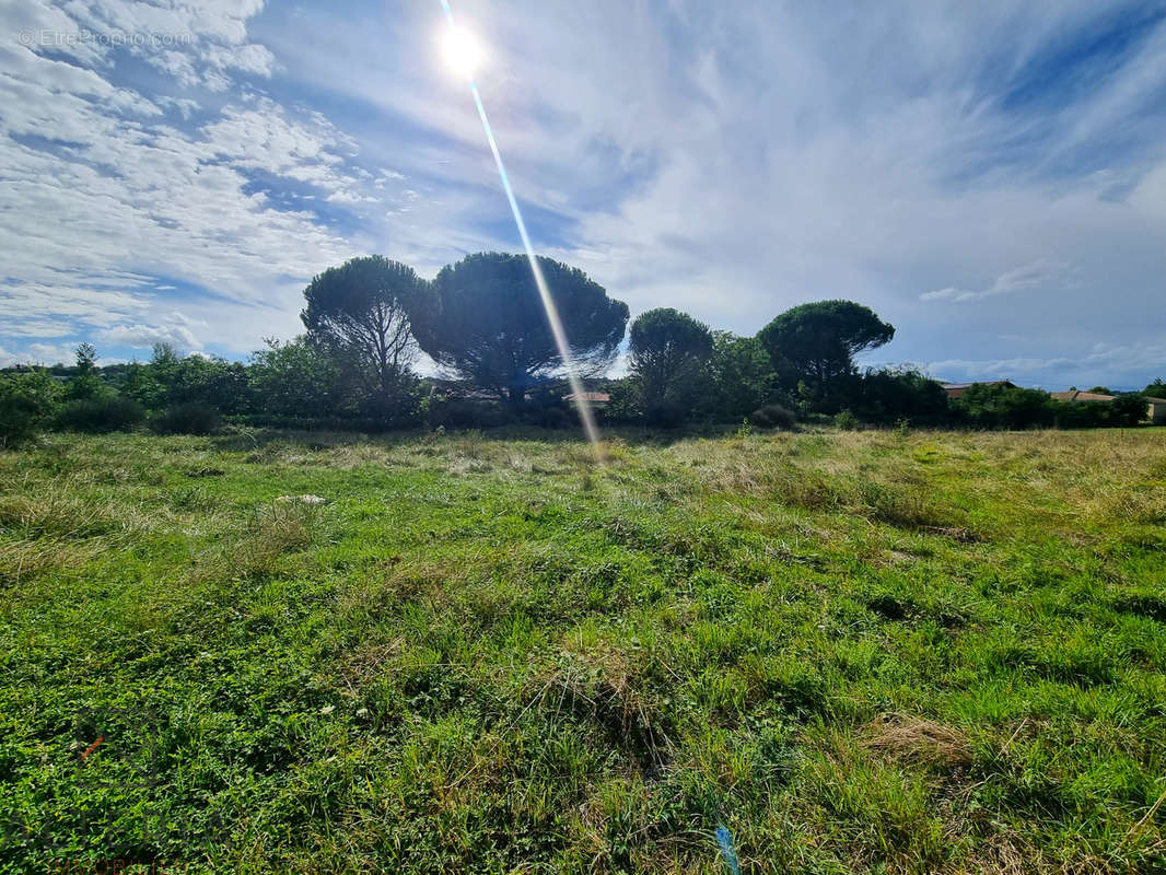 Terrain à PECHABOU