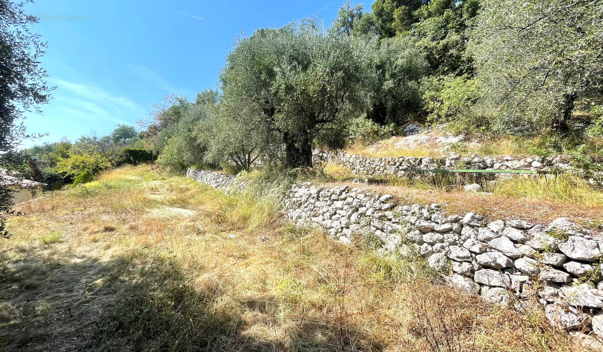 Terrain à CARROS