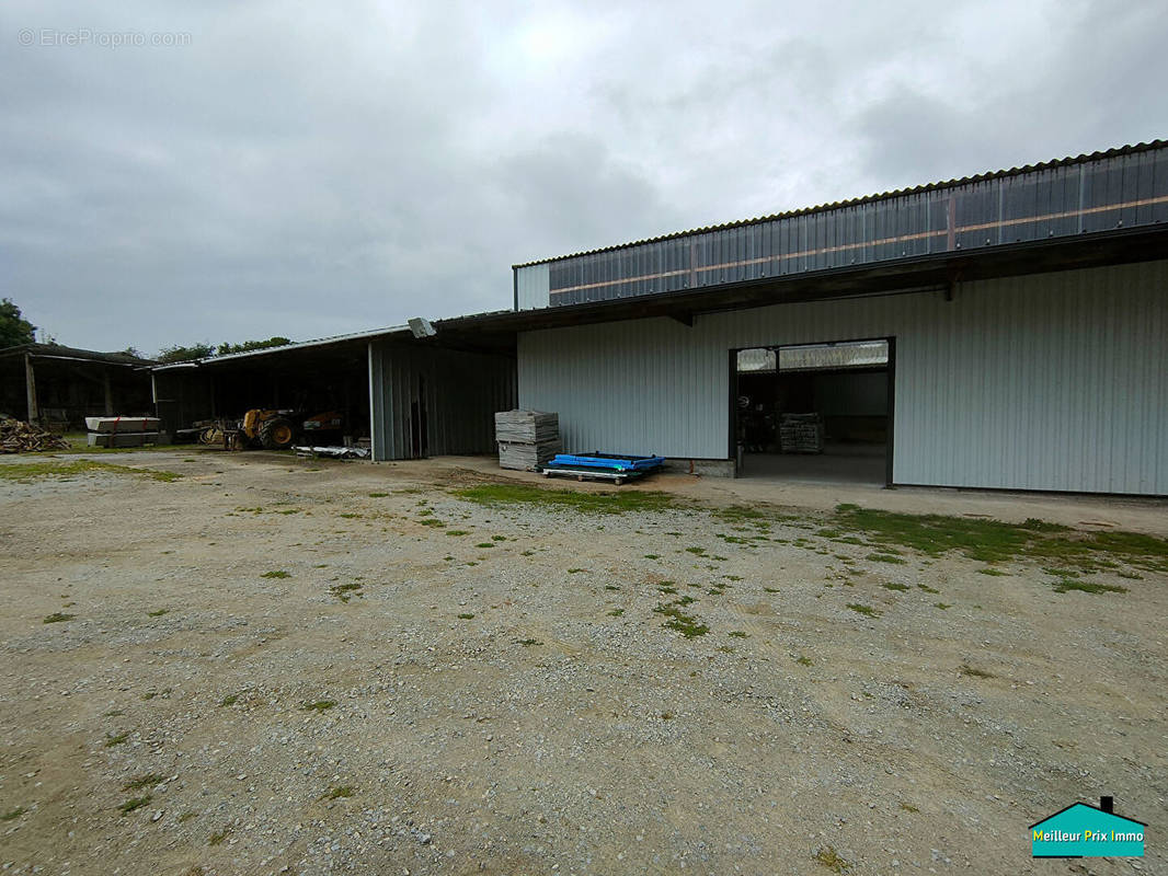 Commerce à SAINTE-PAZANNE