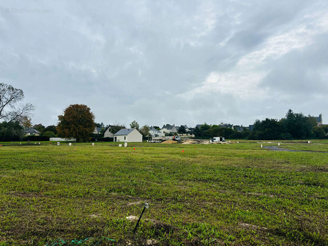 Terrain à CHANCEAUX-SUR-CHOISILLE