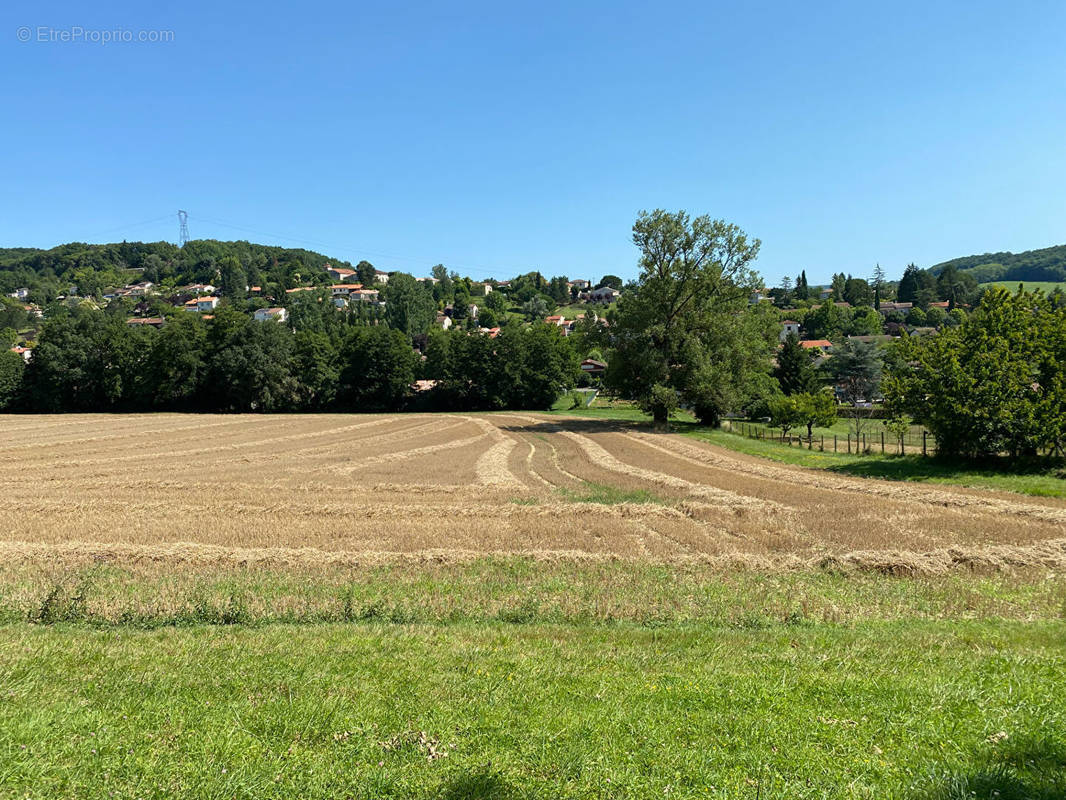 Terrain à PONT-DU-CASSE