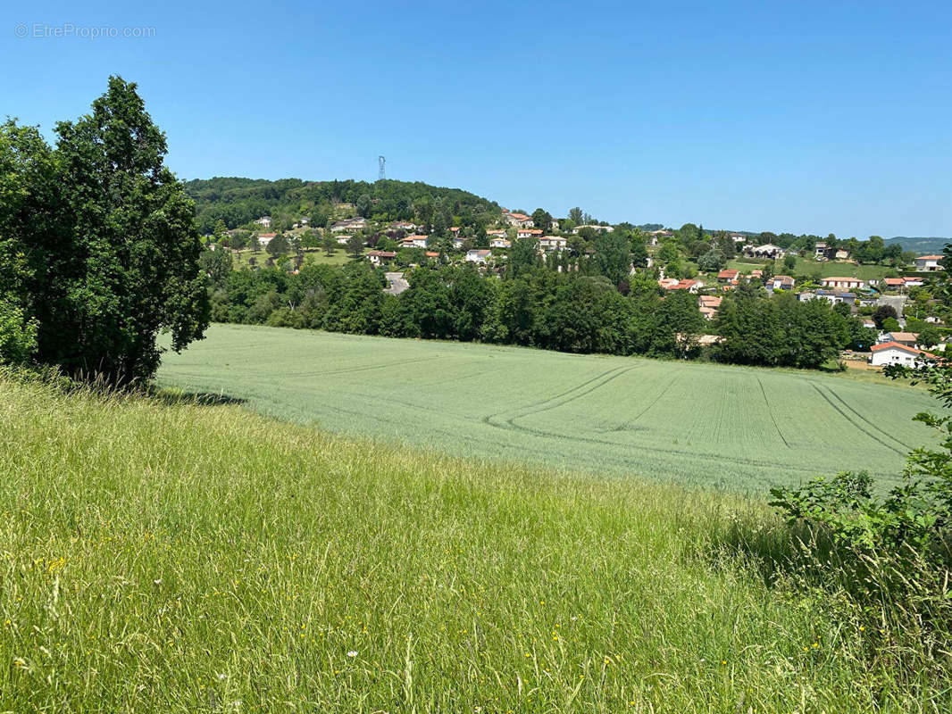 Terrain à PONT-DU-CASSE