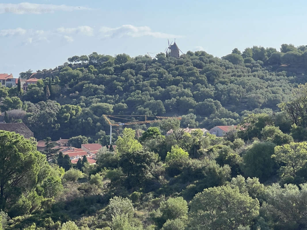 Appartement à COLLIOURE