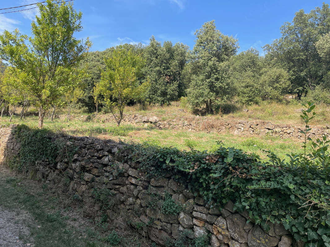 Maison à SAINT-FLORENT-SUR-AUZONNET