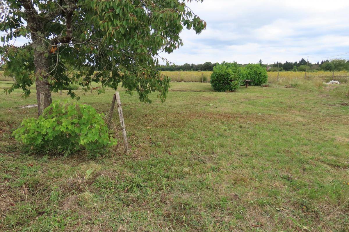 Terrain à OLIVET