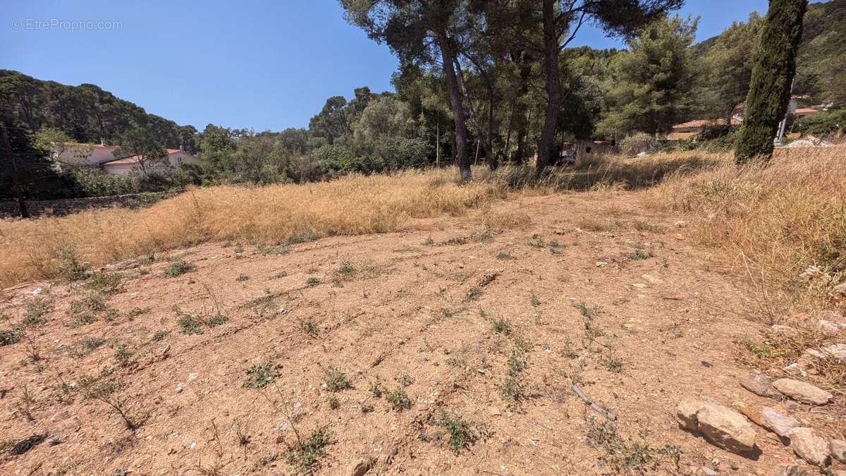 Terrain à OLLIOULES