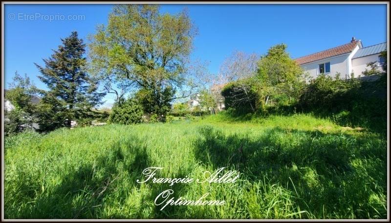 Terrain à SAVENAY