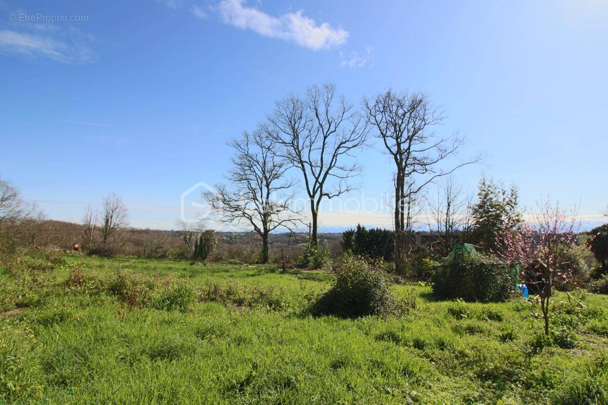 Terrain à SERRES-CASTET