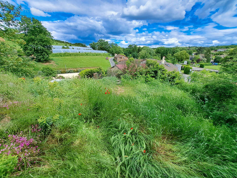 Terrain à THURINS