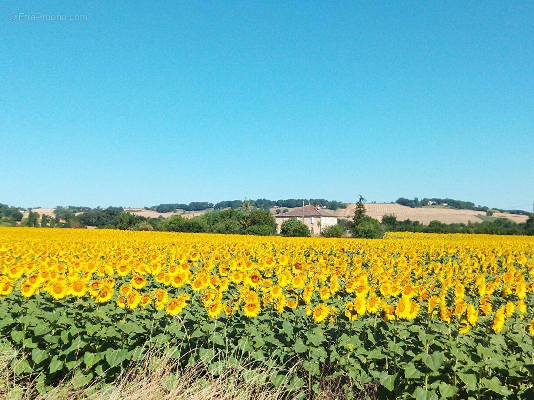 Terrain à PUYCASQUIER