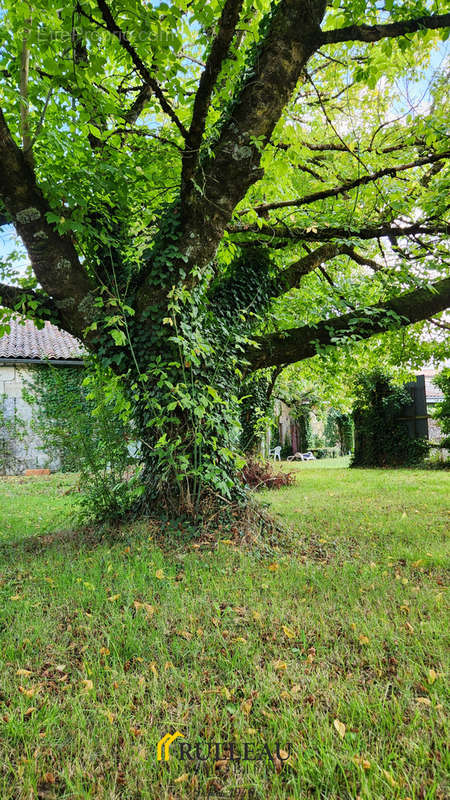 Maison à SAINT-ANDRE-DE-CUBZAC