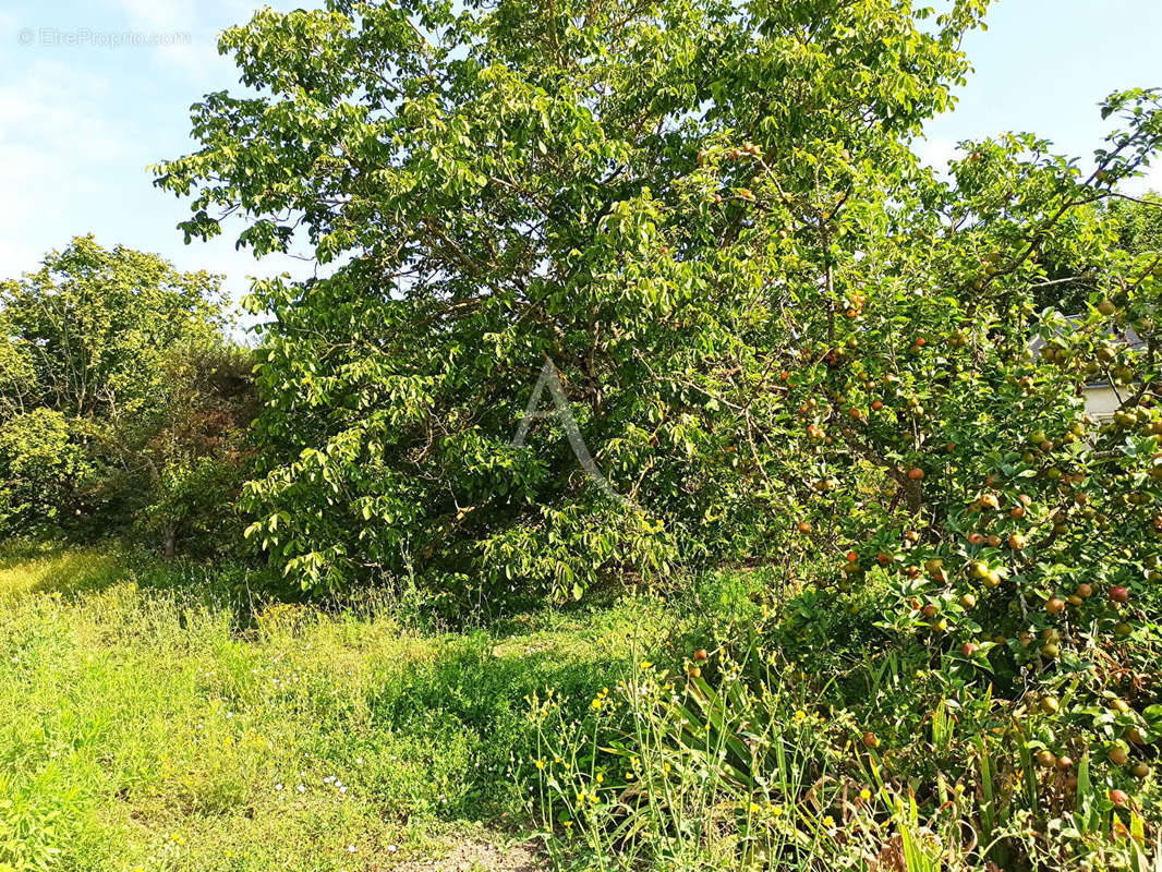 Terrain à SAINT-AIGNAN