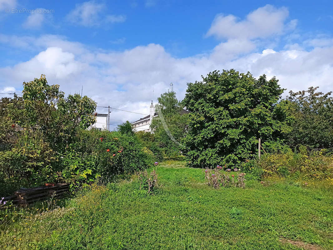 Terrain à SAINT-AIGNAN